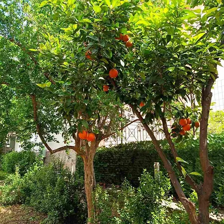 Betty's Garden House Holiday home *