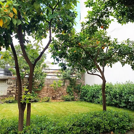 Casa de Férias Betty's Garden House
