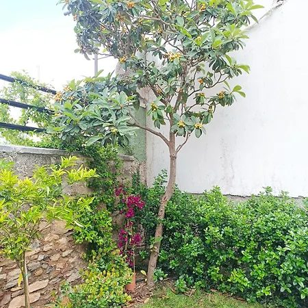 Casa de Férias Betty's Garden House Néa Ankhíalos
