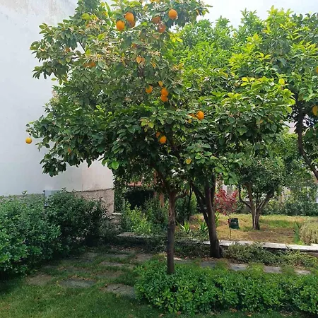 Betty's Garden House