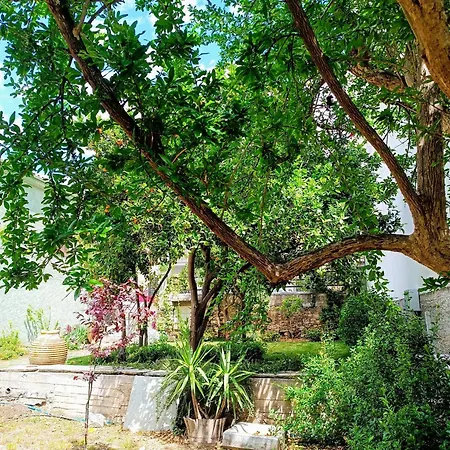 Betty's Garden House Vakantiehuis *