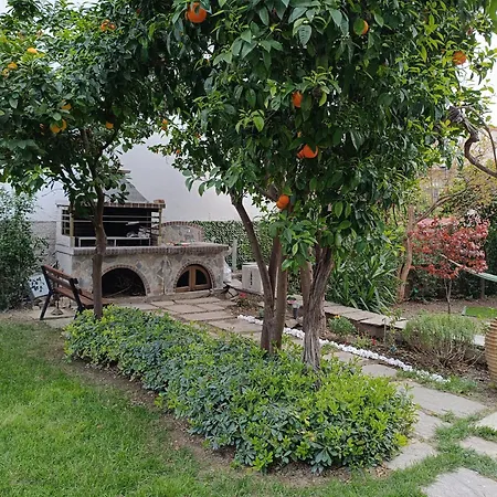 Casa de Férias Betty's Garden House