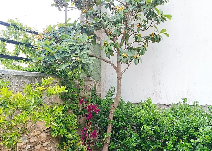 Vakantiehuis Betty's Garden House Néa Ankhíalos