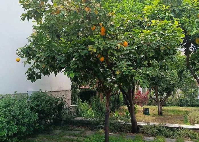 Betty's Garden House