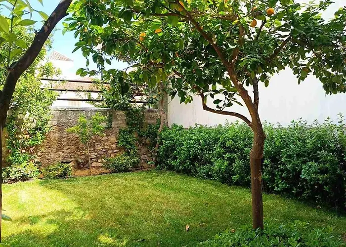 Vakantiehuis Betty's Garden House