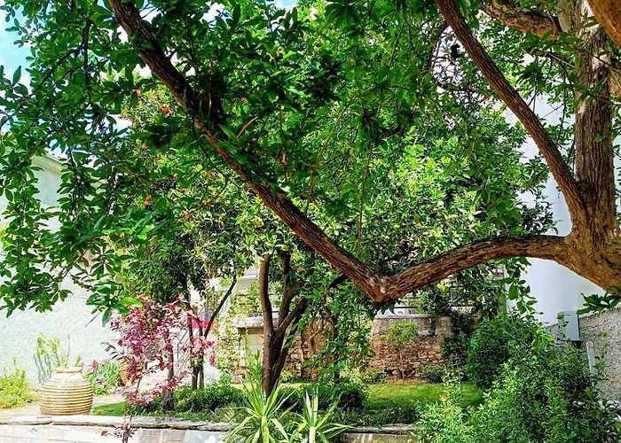 Betty's Garden House Vakantiehuis *